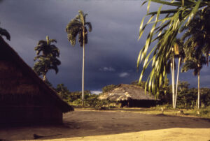 Two houses with thatched roofs with tall palm trees around them; there are dark clouds in the sky.