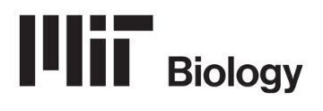 “Smart Data Management for Biologists”